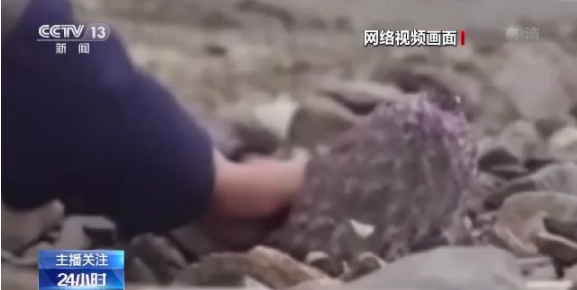 动漫视频h 动漫视频视频对不起