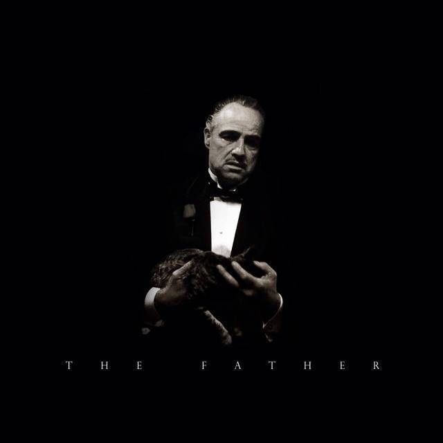 岸边露伴瞎78动 名场面梗“但我拒绝