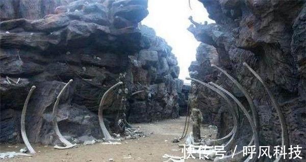 我和后妈的故事