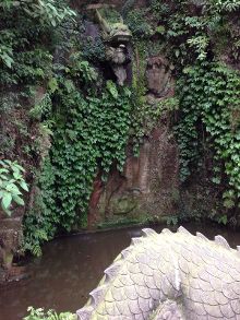 啄木鸟系列 足球教练