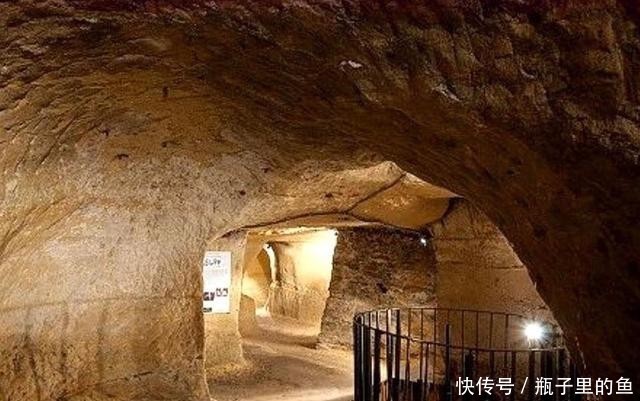 马匹窝视频 充满野性力量的马匹生命