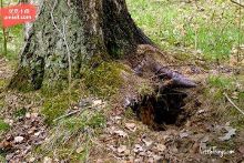 51黑料网海角网