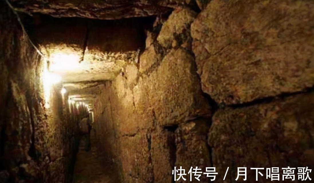 海量视频资源 专业教程还是小众爱好内容