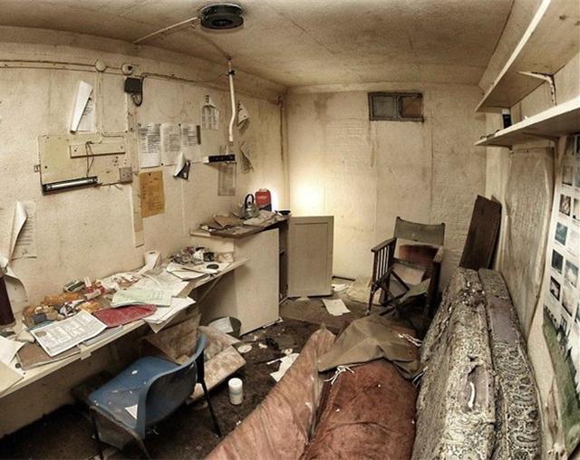 啄木鸟35周年 查找当年的鸟周年新闻报道