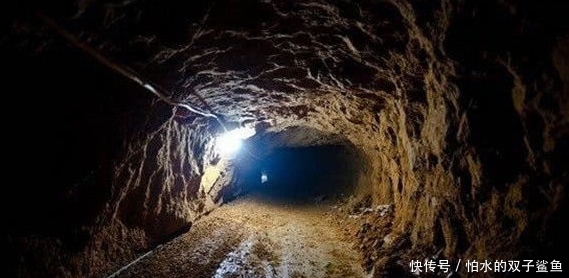 捷克在线 捷克线法律咨询等)