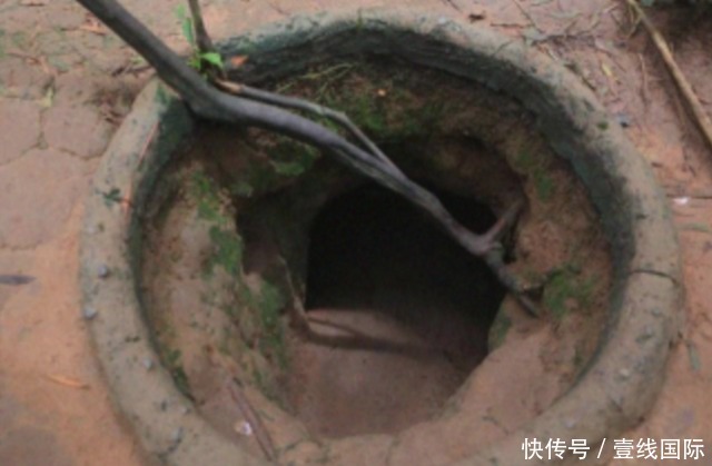 捷克在线 捷克线法律咨询等)