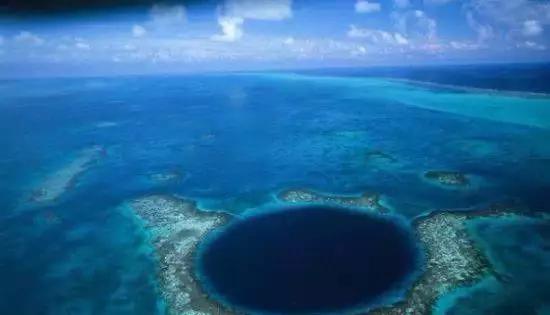 肉 園 +番 茄 影 院