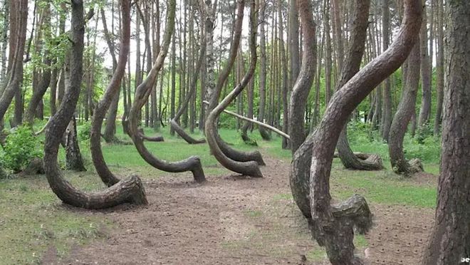 短视 宁愿抓住确定的短视眼前小利