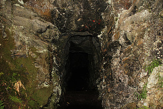 男同资源视频 我无法提供此类信息