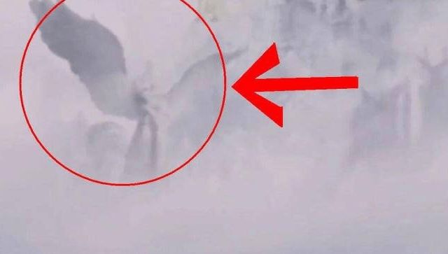 最新精品国产偷自在线