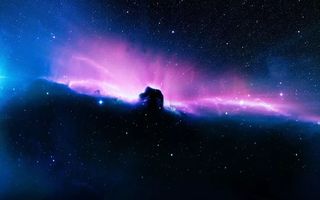 新出的动漫在线