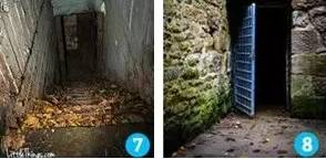 国漫3d小马拉大车