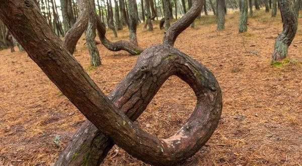 91精品国产肉丝高跟在线