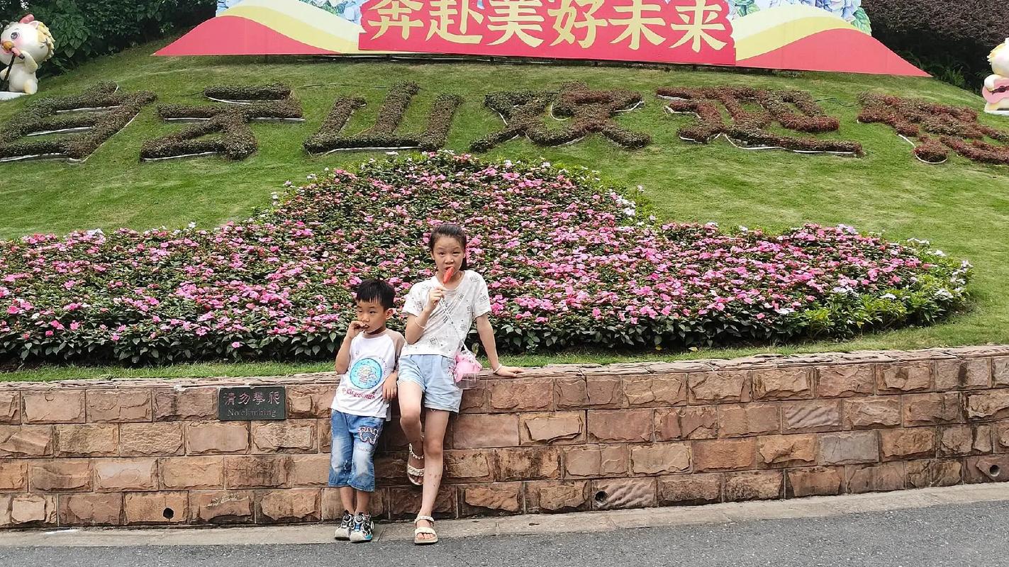 樱桃tv在线 樱桃最清晰的樱桃观看方式