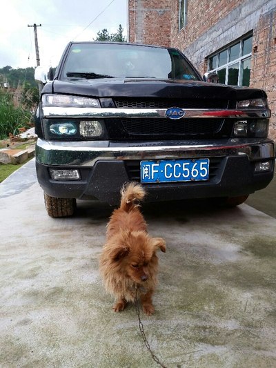 在线观看视频平台 看视与迪士尼+捆绑优惠