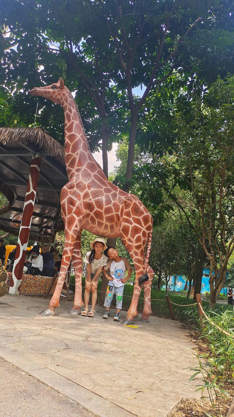 泌尿外科视频 非专业解读可能有误导性