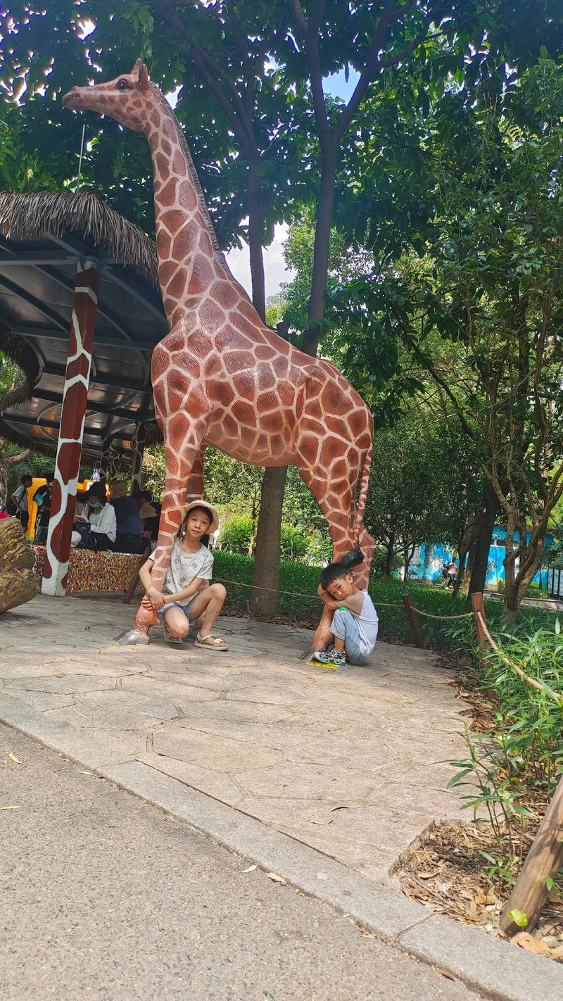 番茄影库 番茄影库关于“番茄影库”