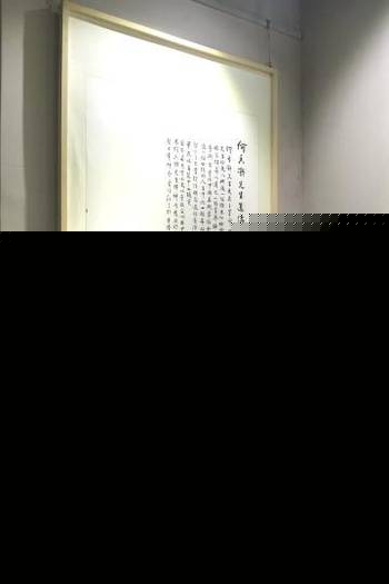 暗网视频在线观看