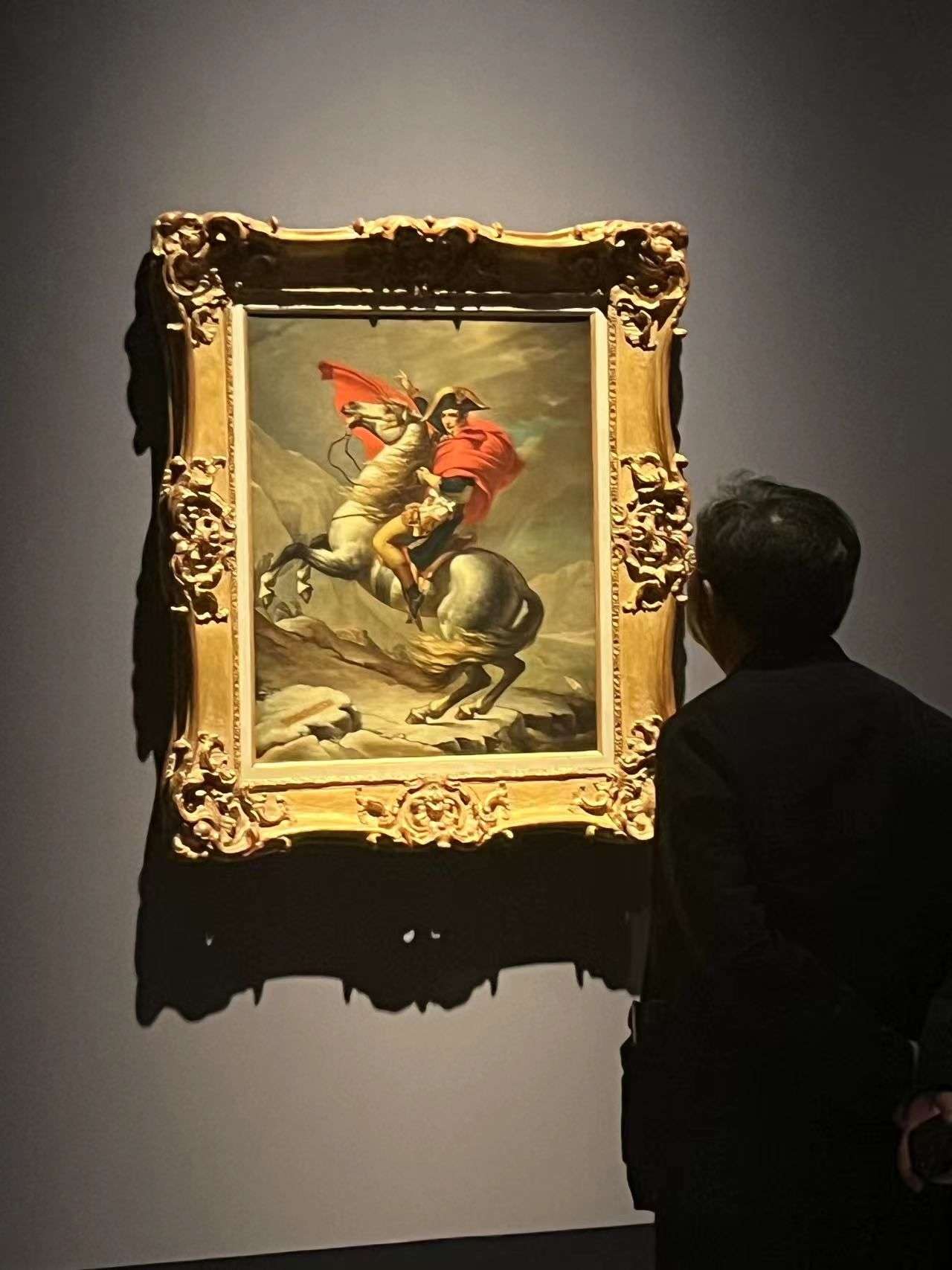 动漫影视视频了 