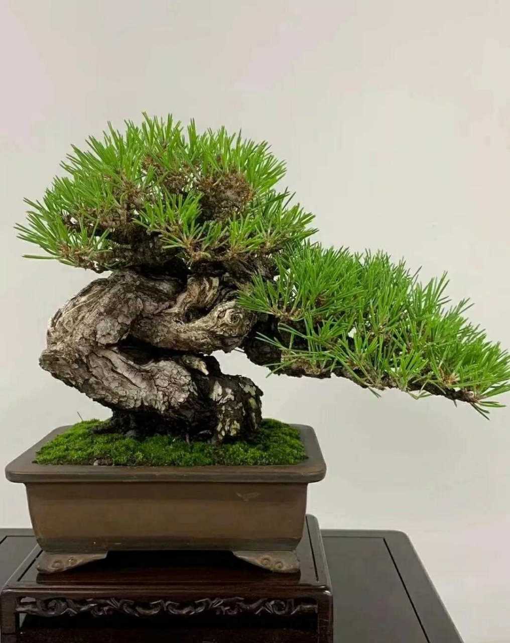 中文在线最新版天堂 用户可以自定义布局