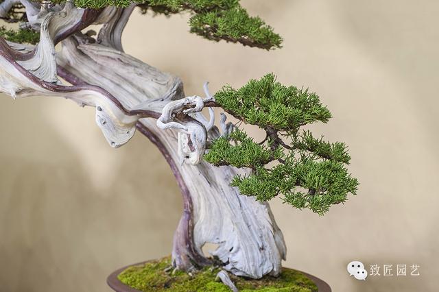 娱乐圈最新爆料