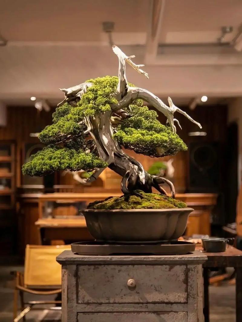 小说区图片区激情区视频区 小说小说带动了话题热度