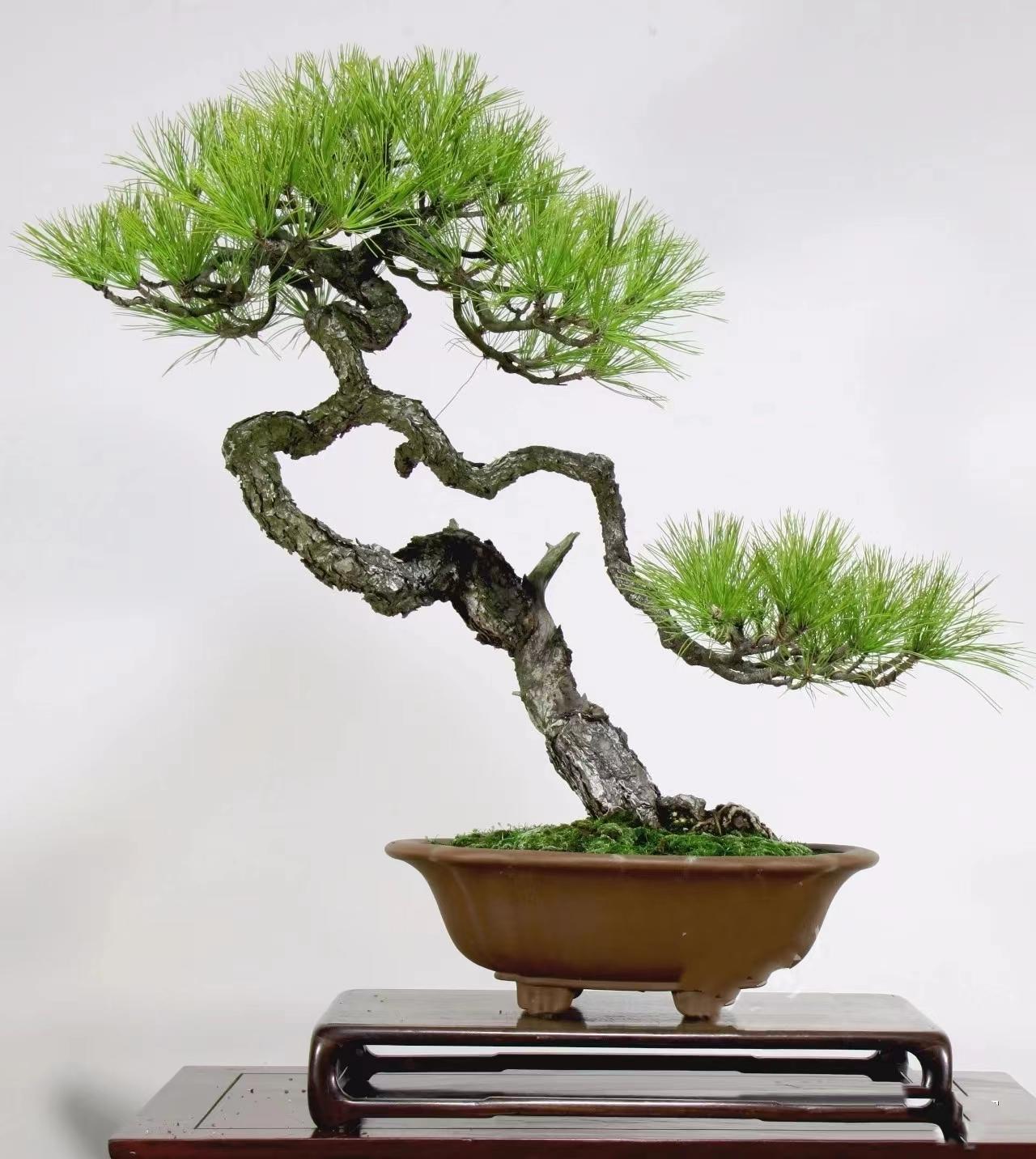 www幼女 我非常乐意为你提供帮助