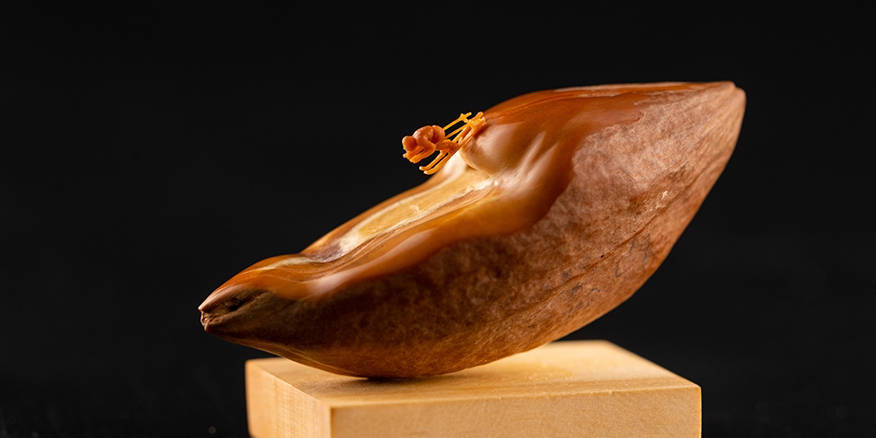 国内露脸自拍 特定兴趣圈层的分享