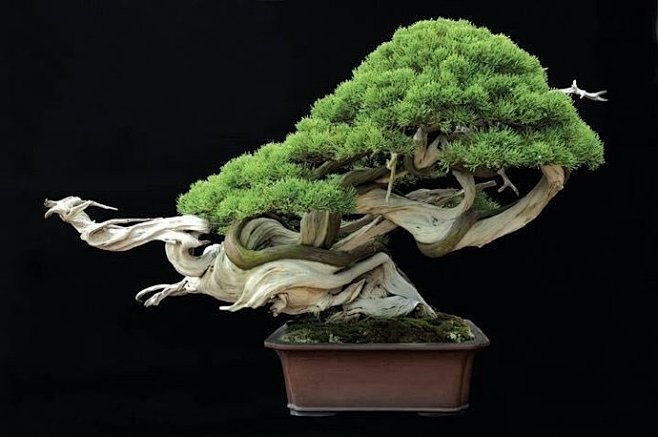 偷 自拍 尊重的偷自拍人际关系