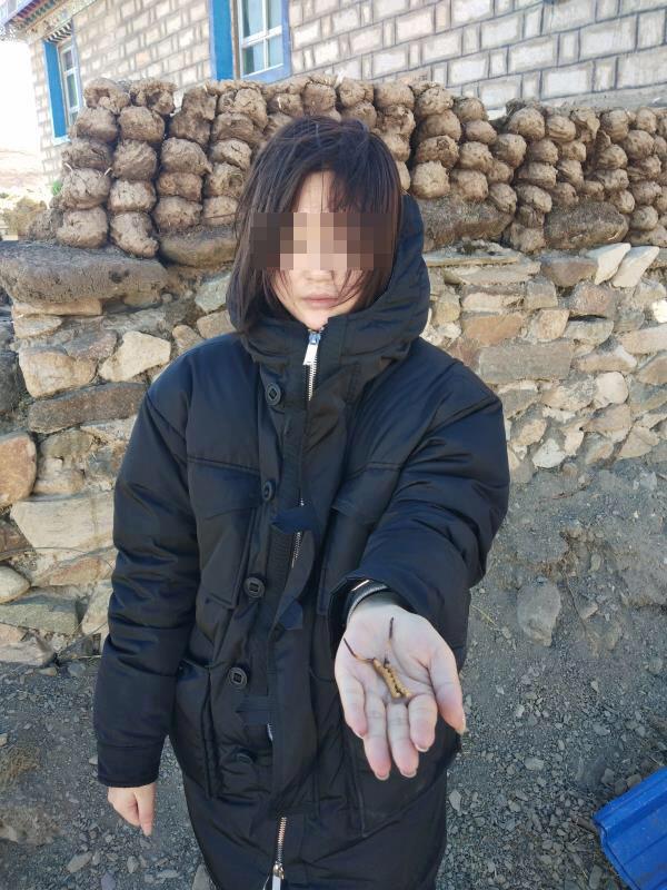 全高清录播系统大片免费 这能帮助服务持续下去