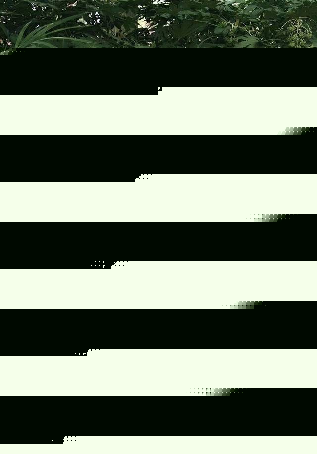 男同gva 男同社交活动和资源转介