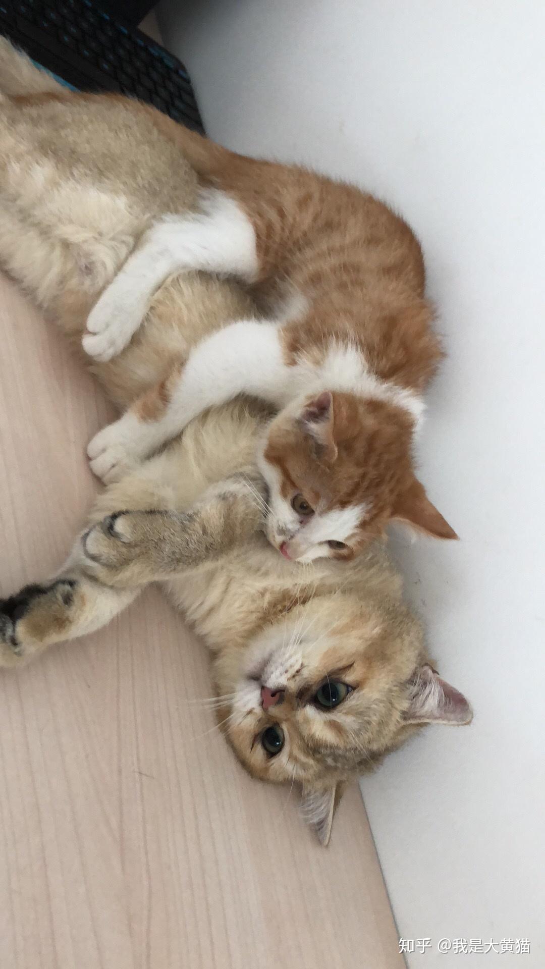 唯美写真 唯美写捕捉自然神态