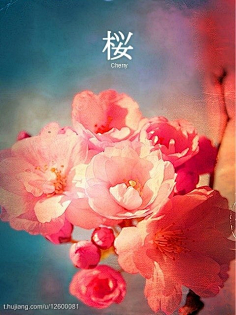 国产精品视频久久看