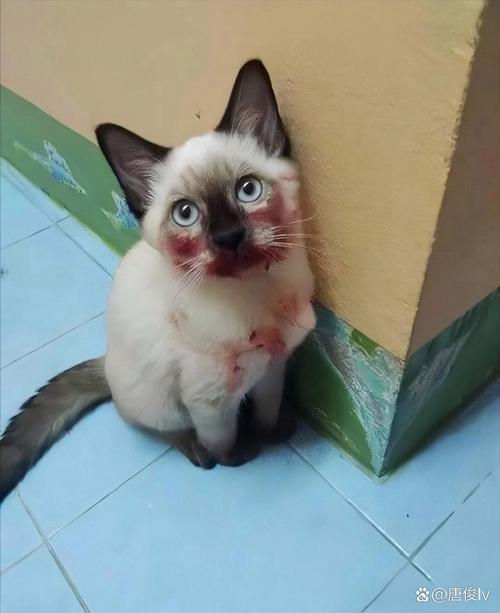 抖音黑料吃瓜群