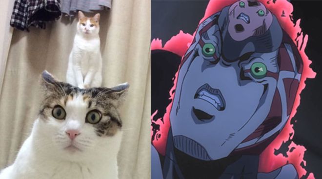 18 在 线 3d动漫 由于网络环境复杂且不断变化