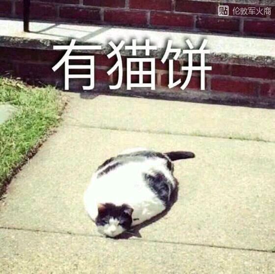 4k资源在线观看 选择适合自己的正规渠道