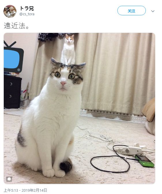 为你提供国产欧美日韩精品一区二区三区在线