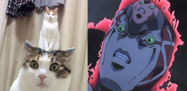 国产腹肌男在线观看 偏好轻松直观的腹肌视频内容