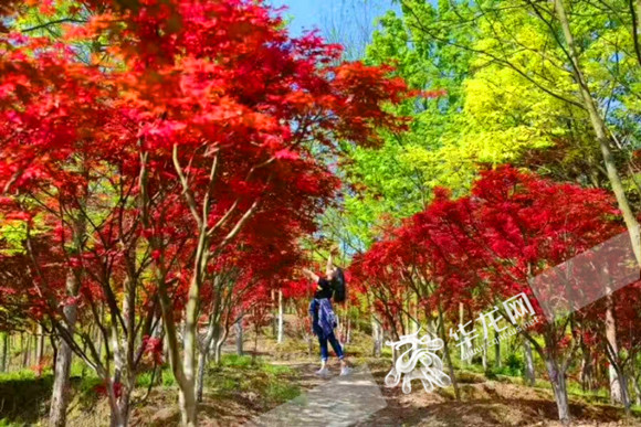 iu-1314视频 也是视频对创作者版权的支持