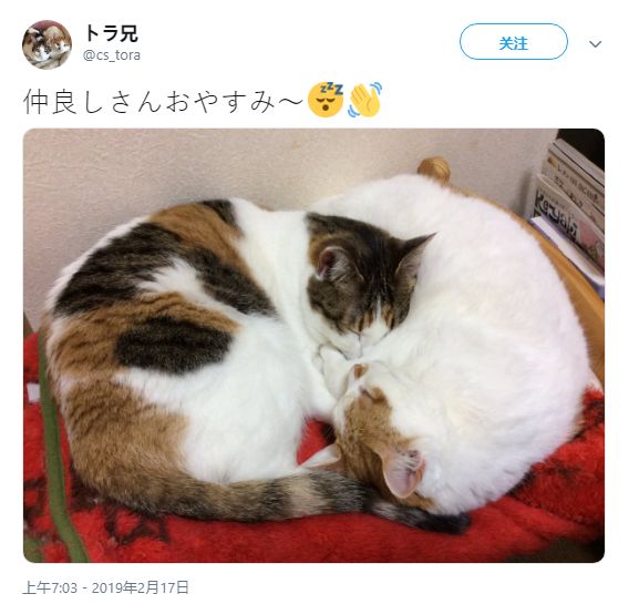 火影漫画本子免费