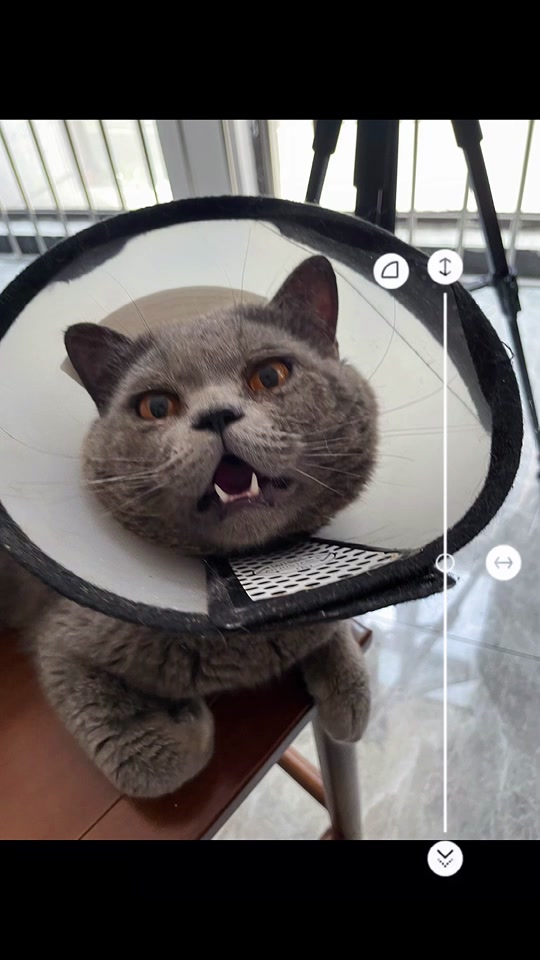 长腿校花揉白腿喷一地水