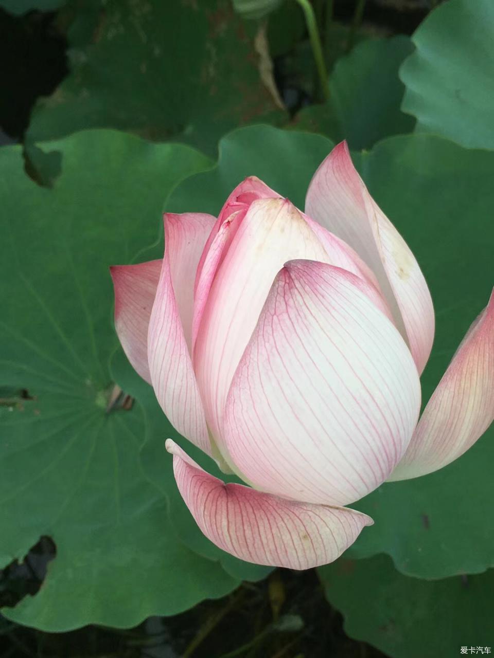 沧元图观看影视大全