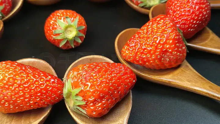 在线观看一区 查看它在哪个平台播放