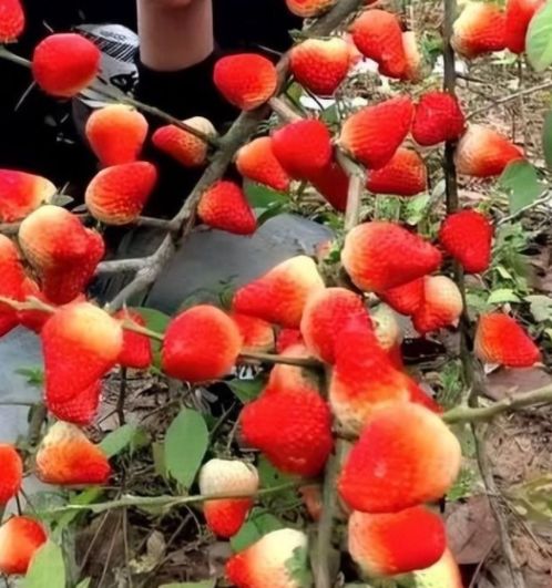 亚洲第一视频在线播放