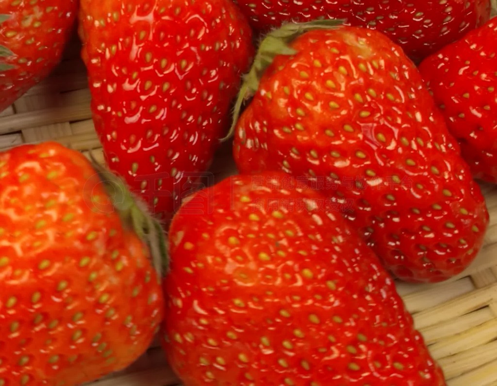 1299847动漫 动漫安全：从网络下载文件时