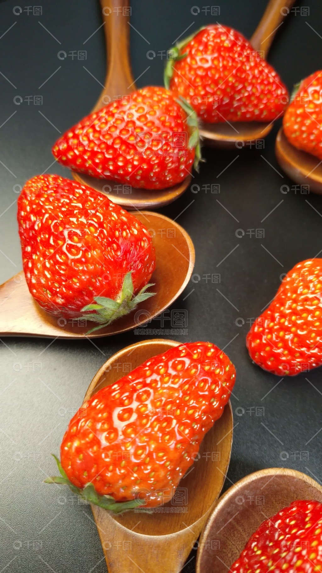 法国电影啄木鸟系列