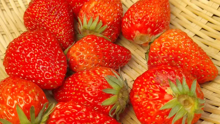 萌白酱最新视频