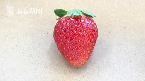 想反抗 哪种方式既能保护自己