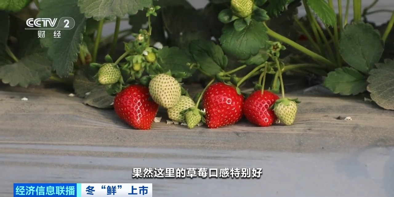 功夫武术含蛋 为了能更好地帮助您