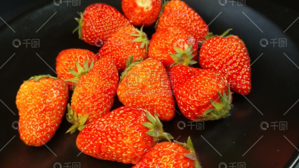 91精品免费不卡在线观看